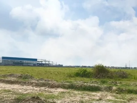 Ccn Việt Nhật