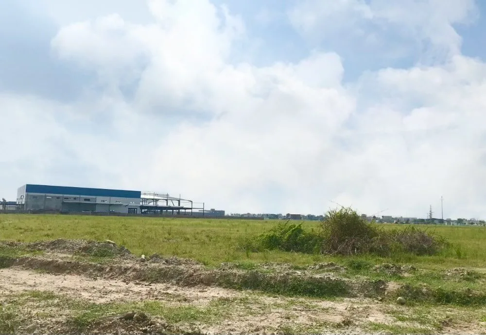 Ccn Việt Nhật