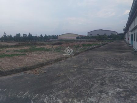 Bản Chiếu2