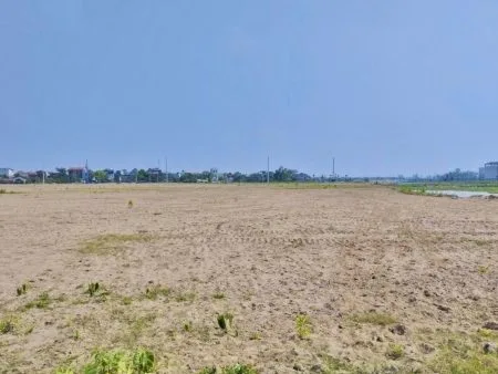 Tăng Tiếnnnn