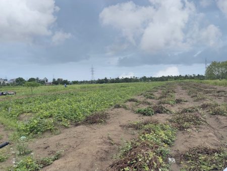 Tứ Kỳ