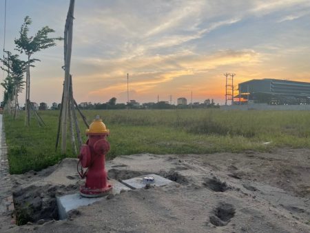 Yên Dương 11