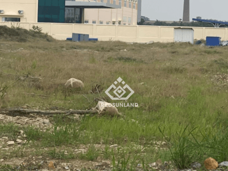 Đất trong cụm công nghiệp Gia Phú